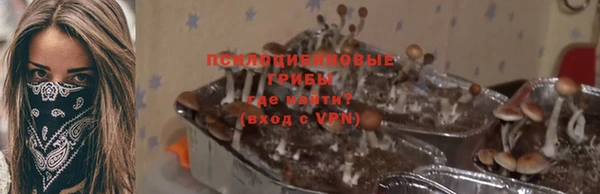 хмурый Михайлов