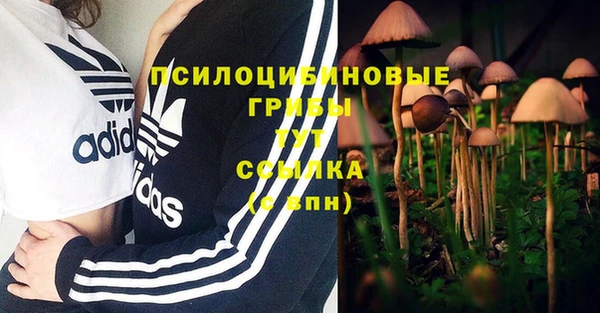 хмурый Михайлов