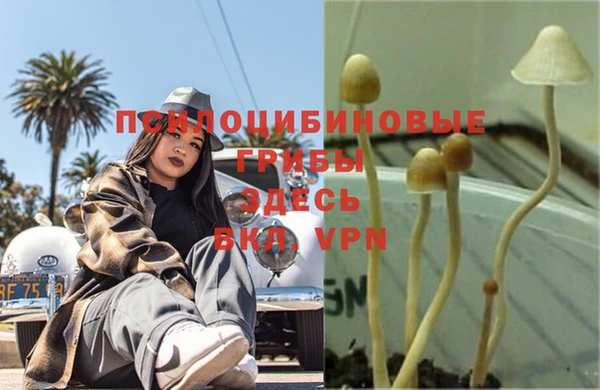 дурь Михайловка