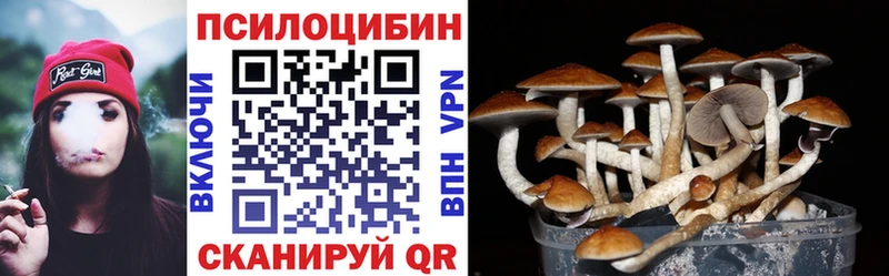 Галлюциногенные грибы Psilocybine cubensis  Суворов 